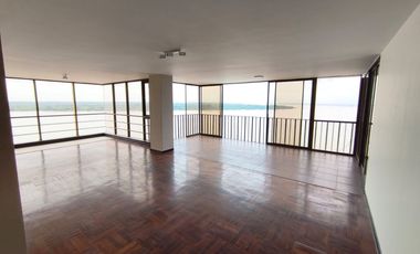 Arriendo departamento ,pleno Malecon , vista al rio .