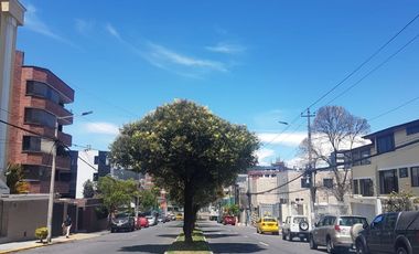 EN GRANDA CENTENO SUITE DE VENTA
