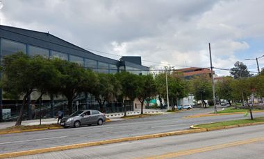 EN GRANDA CENTENO SUITE DE VENTA