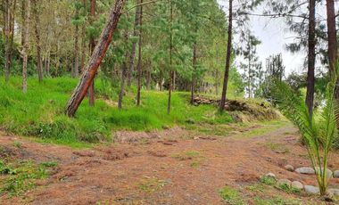 En Venta Terreno de 10 Hectáreas en sector Guagualzhumi - Cuenca