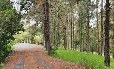 En Venta Terreno de 10 Hectáreas en sector Guagualzhumi - Cuenca