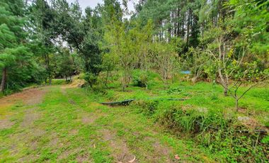 En Venta Terreno de 10 Hectáreas en sector Guagualzhumi - Cuenca