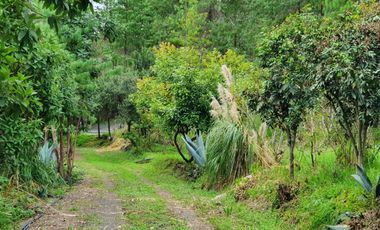 En Venta Terreno de 10 Hectáreas en sector Guagualzhumi - Cuenca