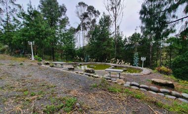 En Venta Terreno de 10 Hectáreas en sector Guagualzhumi - Cuenca