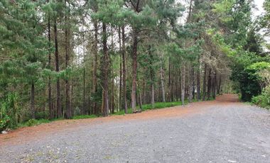 En Venta Terreno de 10 Hectáreas en sector Guagualzhumi - Cuenca