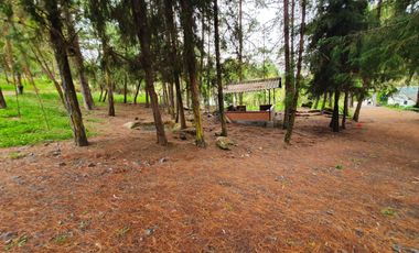 En Venta Terreno de 10 Hectáreas en sector Guagualzhumi - Cuenca