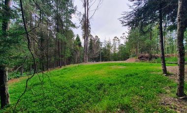 En Venta Terreno de 10 Hectáreas en sector Guagualzhumi - Cuenca