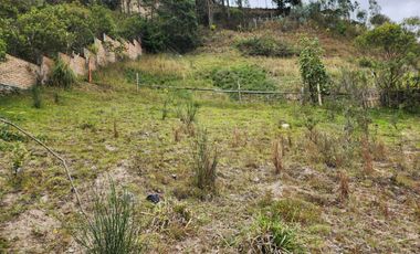 Terreno plano En Venta en el sector de Turi