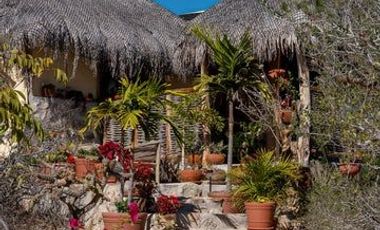 Casa con terreno en Todos Santos con vista al mar.