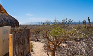Casa con terreno en Todos Santos con vista al mar.