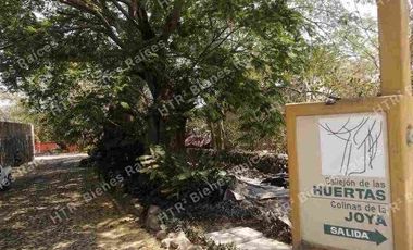 VENTA DE 5 HECTÁREAS EN COTO, VdeA