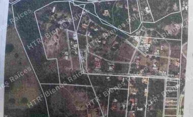 VENTA DE 5 HECTÁREAS EN COTO, VdeA