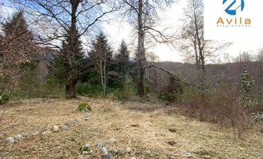 Curarrehue sector Caren parcela de 5.500m2 ubicada a un costado carretera COD.VTAP225