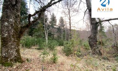 Curarrehue sector Caren parcela de 5.500m2 ubicada a un costado carretera COD.VTAP225
