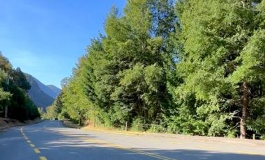 Curarrehue sector Caren parcela de 5.500m2 ubicada a un costado carretera COD.VTAP225