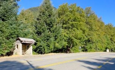 Curarrehue sector Caren parcela de 5.500m2 ubicada a un costado carretera COD.VTAP225