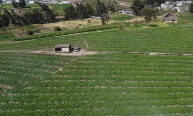 TERRENO EN VENTA MARTINEZ, AMBATO- ECUADOR