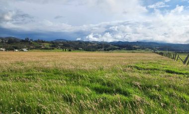 En Venta Terreno plano sector Tarqui en Cuenca