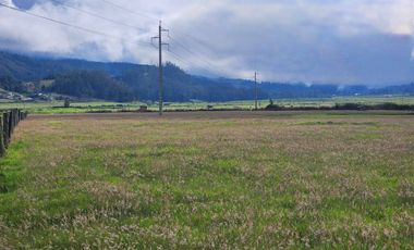 En Venta Terreno plano sector Tarqui en Cuenca