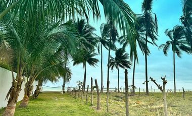 Terrenos en venta vía Pedernales-Cojimies, Provincia de Manabí