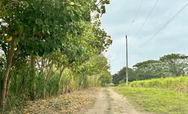 Terrenos en venta vía Pedernales-Cojimies, Provincia de Manabí