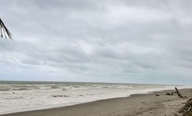 Terrenos en venta vía Pedernales-Cojimies, Provincia de Manabí