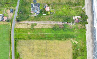 Terrenos en venta vía Pedernales-Cojimies, Provincia de Manabí