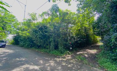 1400sqm Lot For Sale Amadeo, Cavite. P8.4m negotiable