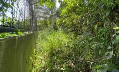 1400sqm Lot For Sale Amadeo, Cavite. P8.4m negotiable