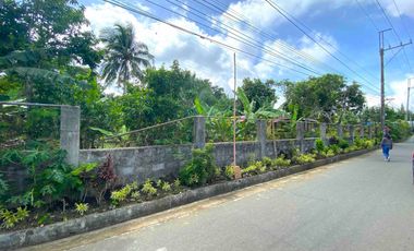1000sqm Titled Residential Lot For Sale, Talon, Amadeo. Just P6m