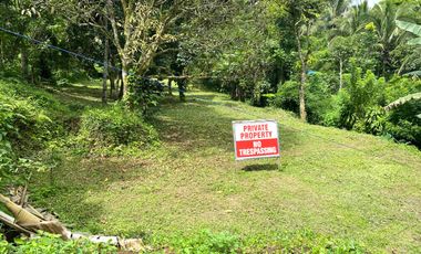 EXCEPTIONAL VALUE. 1000sqm Titled Lot For Sale Maitim, Amadeo. JUST P4.5m!
