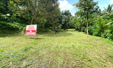 EXCEPTIONAL VALUE. 1000sqm Titled Lot For Sale Maitim, Amadeo. JUST P4.5m!