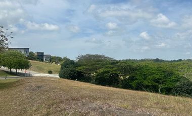 LOT FOR SALE: 560 sqm Ridgeside Residential Lot in Silang, Cavite - Lanewood Hills