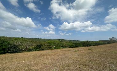 LOT FOR SALE: 560 sqm Ridgeside Residential Lot in Silang, Cavite - Lanewood Hills