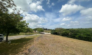 LOT FOR SALE: 560 sqm Ridgeside Residential Lot in Silang, Cavite - Lanewood Hills