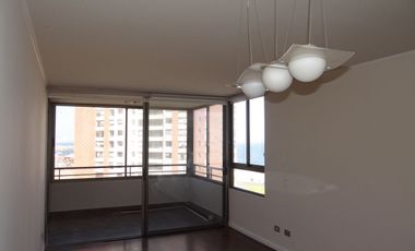 Departamento sector sur en arriendo