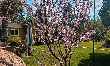 ESTUPENDA PARCELA CON CASA CERCANA A LA RUTA 68 SECTOR LOLENCO