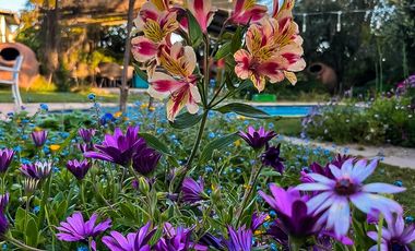 ESTUPENDA PARCELA CON CASA CERCANA A LA RUTA 68 SECTOR LOLENCO