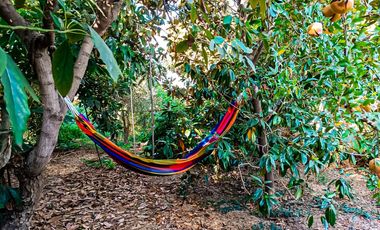 ESTUPENDA PARCELA CON CASA CERCANA A LA RUTA 68 SECTOR LOLENCO