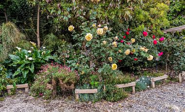 ESTUPENDA PARCELA CON CASA CERCANA A LA RUTA 68 SECTOR LOLENCO