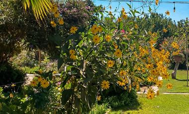 ESTUPENDA PARCELA CON CASA CERCANA A LA RUTA 68 SECTOR LOLENCO