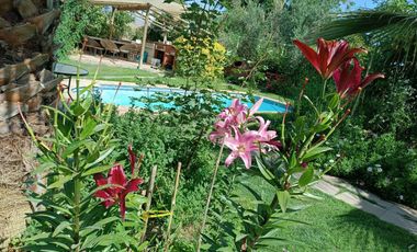 ESTUPENDA PARCELA CON CASA CERCANA A LA RUTA 68 SECTOR LOLENCO