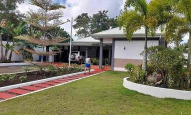 4 BEDROOMS HOUSE AND LOT IN DAUIS PANGLAO