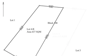 SAN JUAN CITY RESIDENTIAL LOT