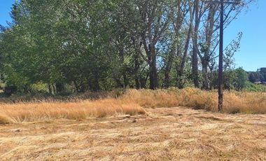 Parcela 5.000m2 / orilla de camino público