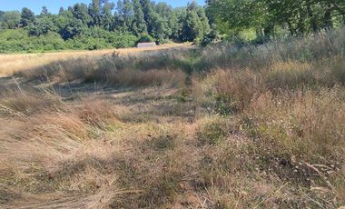 Parcela 5.000m2 / orilla de camino público
