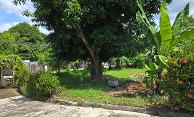 Residential Property for Sale in Minglanilla, Cebu