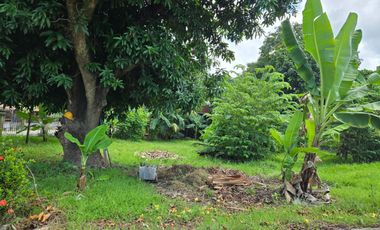 Residential Property for Sale in Minglanilla, Cebu