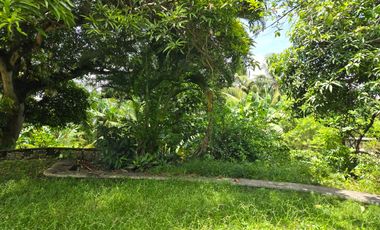 Residential Property for Sale in Minglanilla, Cebu