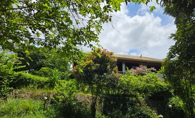 Residential Property for Sale in Minglanilla, Cebu